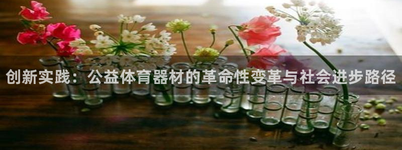 极悦平台注册官网下载：创新实践：公益体育器材的革命性