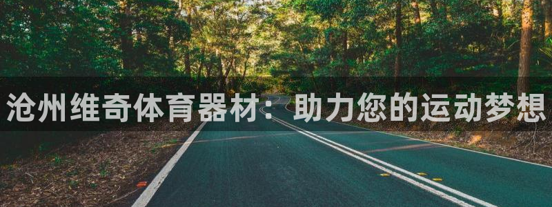 极悦娱乐的背景和历史背景：沧州维奇体育器材：助力您的运动梦想