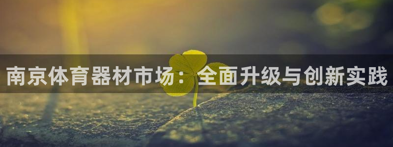极悦平台是干什么的公司：南京体育器材市场：全面升级与创新实践