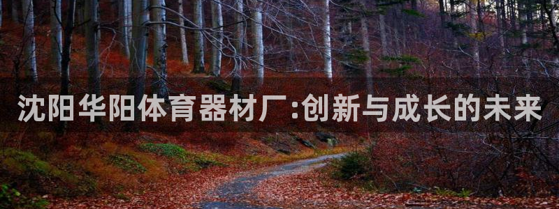 极悦官网旗舰店：沈阳华阳体育器材厂:创新与成长的未来