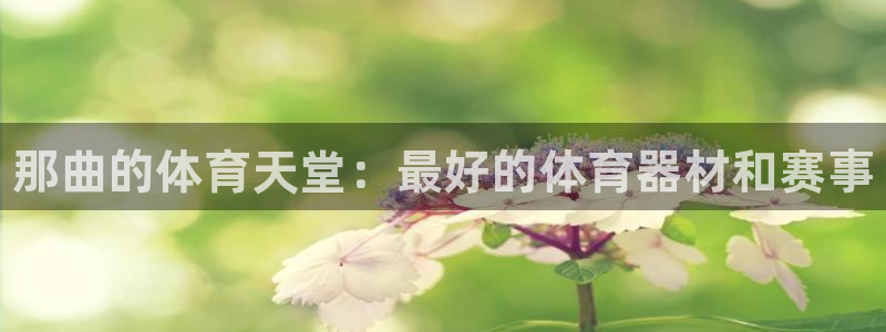 极悦平台官网登录入口网址查询：那曲的体育天堂：最好的体育器材