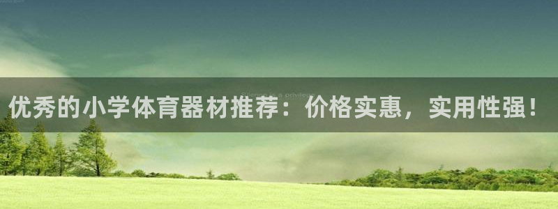 极悦平台登录人7.0.2.4登录入口：优秀的小学体育器材推荐