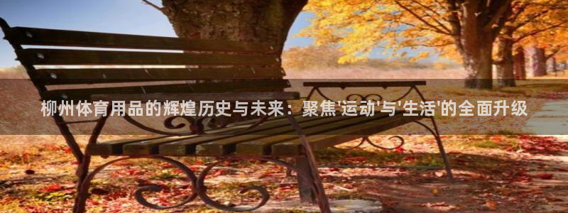 极悦娱乐最新版本更新内容介绍：柳州体育用品的辉煌历史与未来：